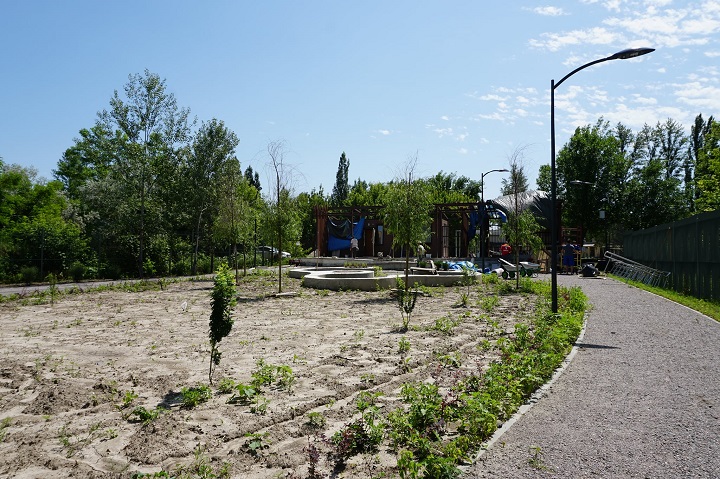 На благоустройство линейного парк вдоль Темерника в Ростове потребуется еще 12 млн рублей
