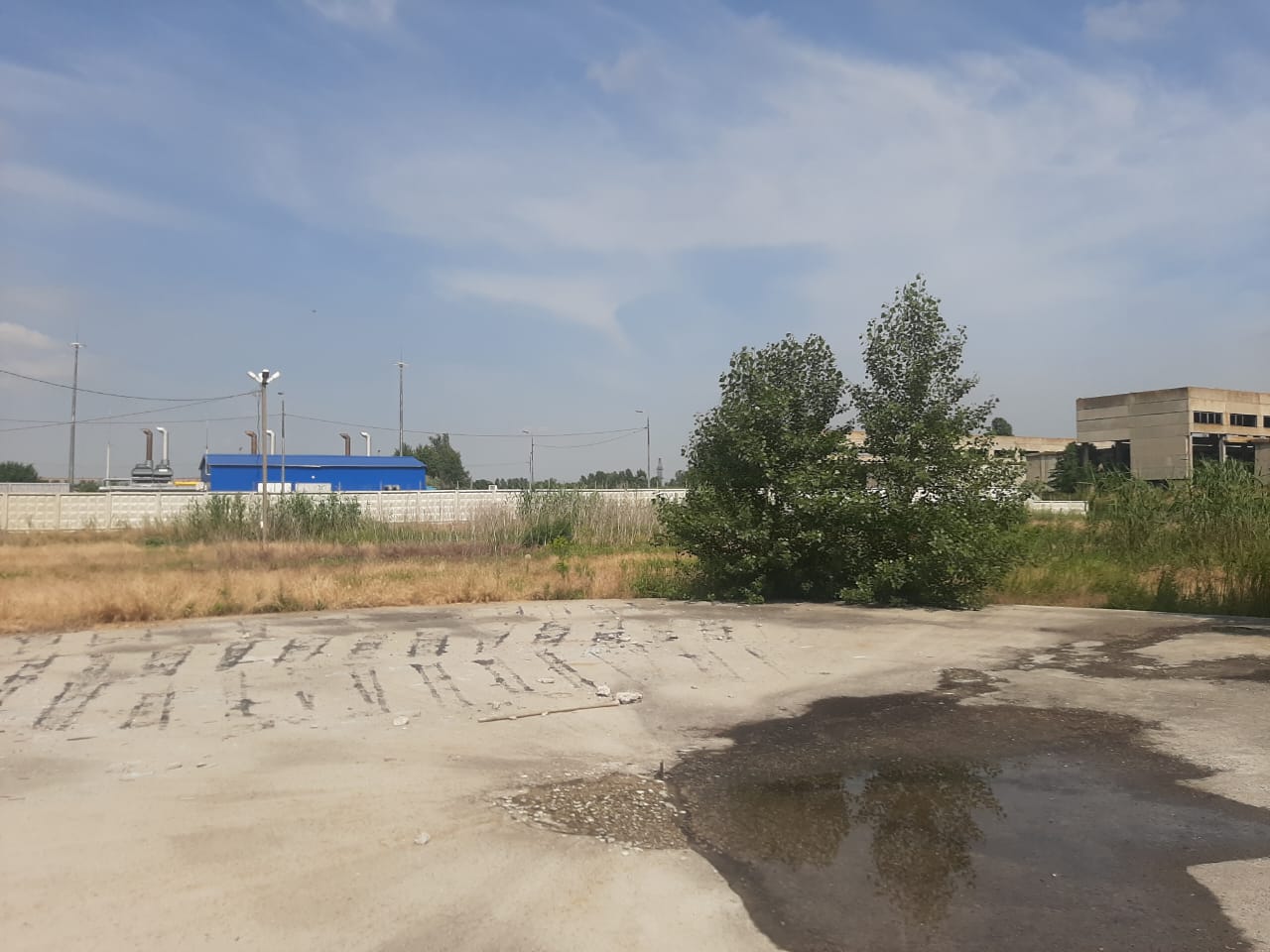 Росимущество продает остатки завода «Чистый Дон» за 142 млн рублей - фото 1