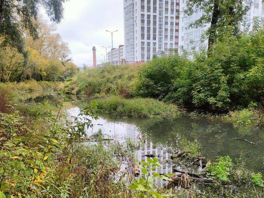 Расчистка русла реки Борзовка начались в Нижнем Новгороде - фото 1