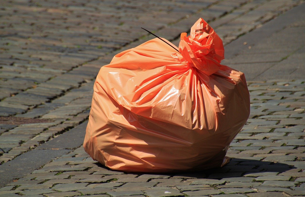 В Воронеже хотят отказаться от услуг мусорного оператора из-за грубых нарушений