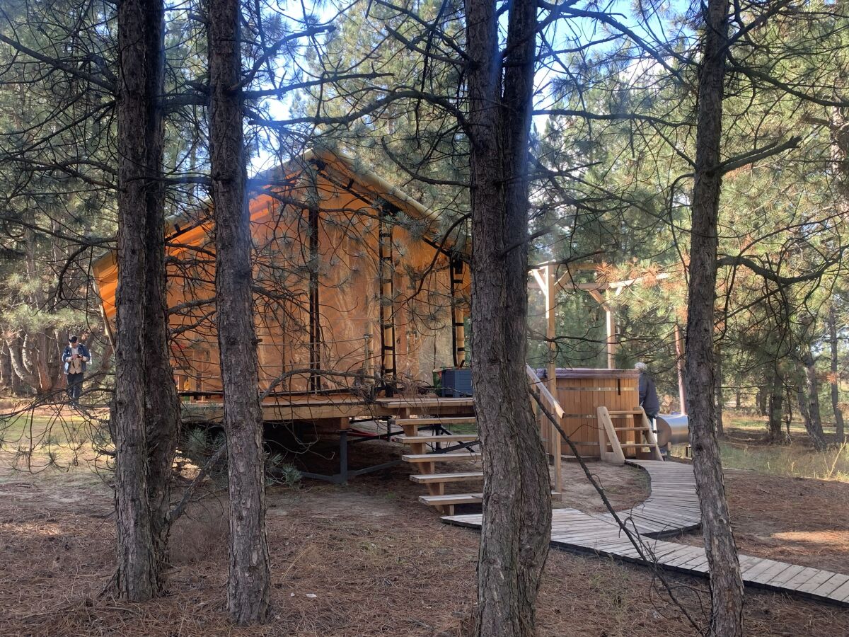 Ближе к природе: как привычки путешественников меняют сферу туризма на Дону - фото 1