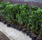 Ход строительства дома № 30, 3 этап в ЖК Сады у моря -