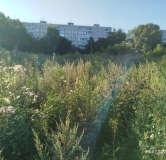Ход строительства дома 10 в ЖК Расцветай на Зорге -