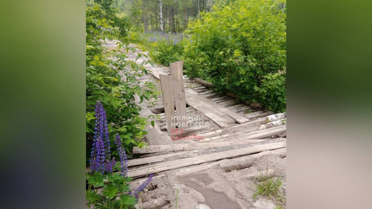 Нижегородские власти назвали рухнувший мост в Борском округе самостроем - фото 1