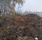 Ход строительства дома 7 в ЖК Расцветай на Зорге -