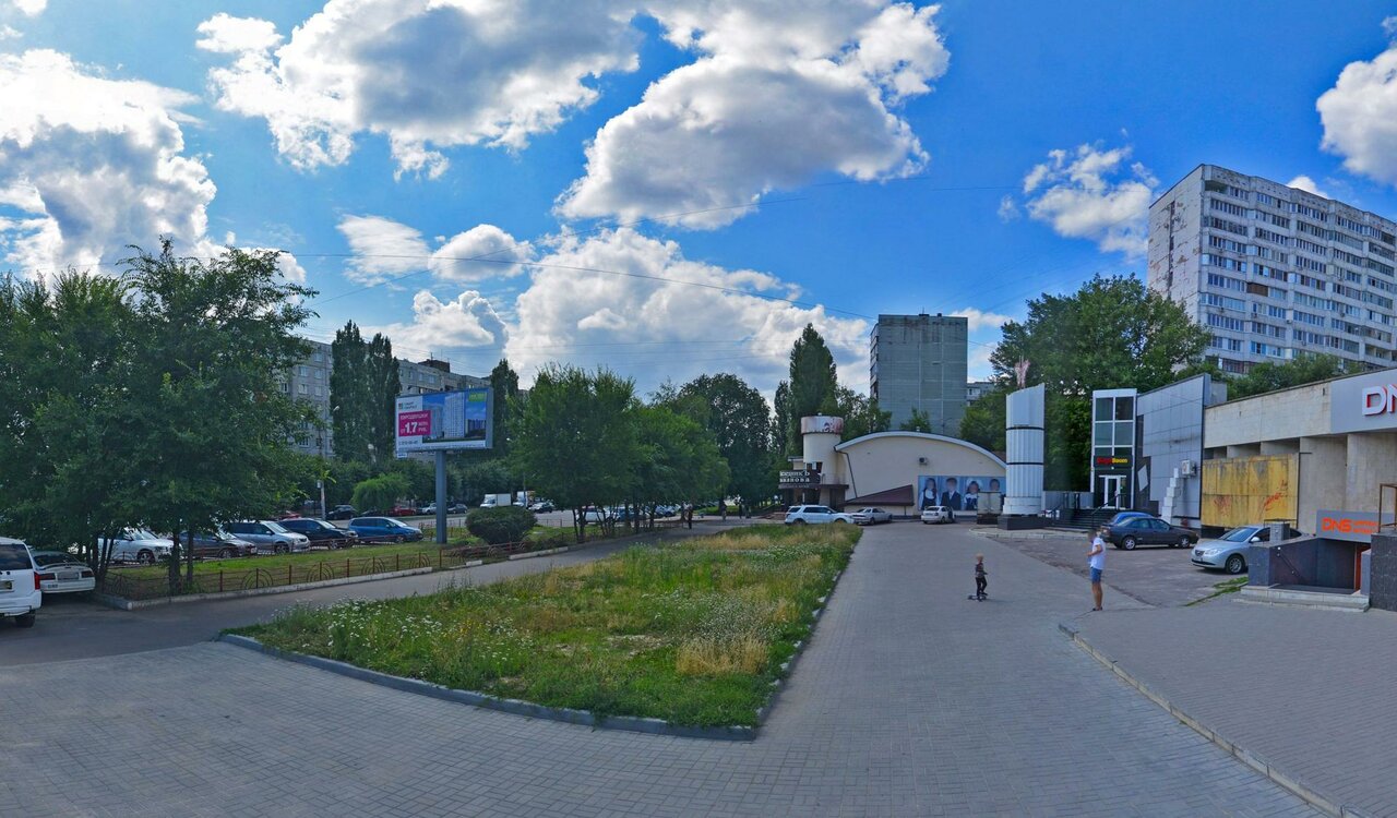 Воронежский сквер с котенком с улицы Лизюкова получил новое имя - фото 1