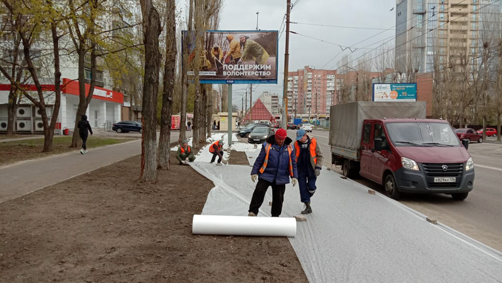 Коммунальщики проводят работы по озеленению улиц Воронежа  - фото 1